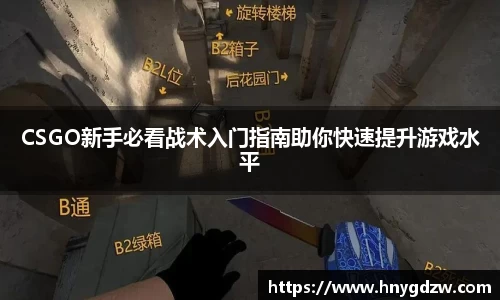 星空综合官网