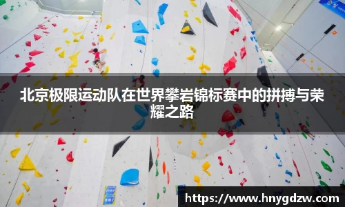 星空综合官网首页