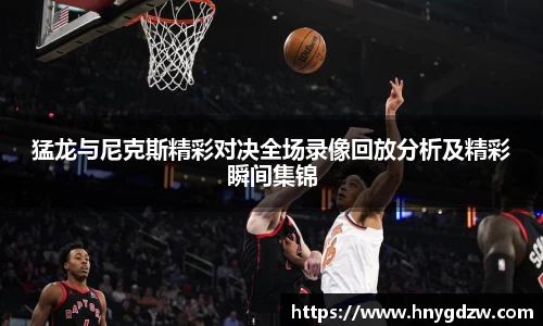 星空综合官网